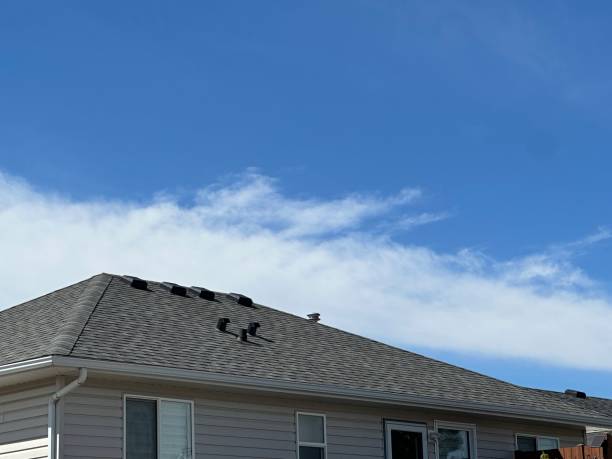 Best Roof Installation  in Wasilla, AK